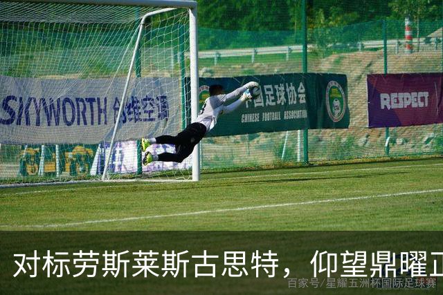 对标劳斯莱斯古思特，仰望鼎曜正式公布