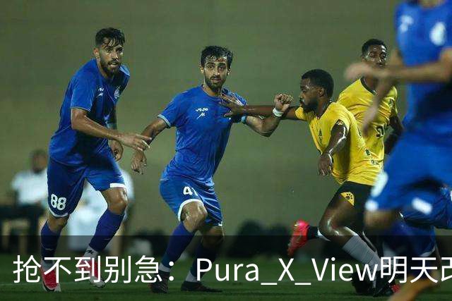 抢不到别急：Pura X View明天改“排队”，不用再卡点