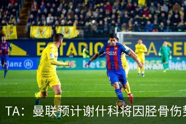 TA：曼联预计谢什科将因胫骨伤势至少缺阵至明年1月